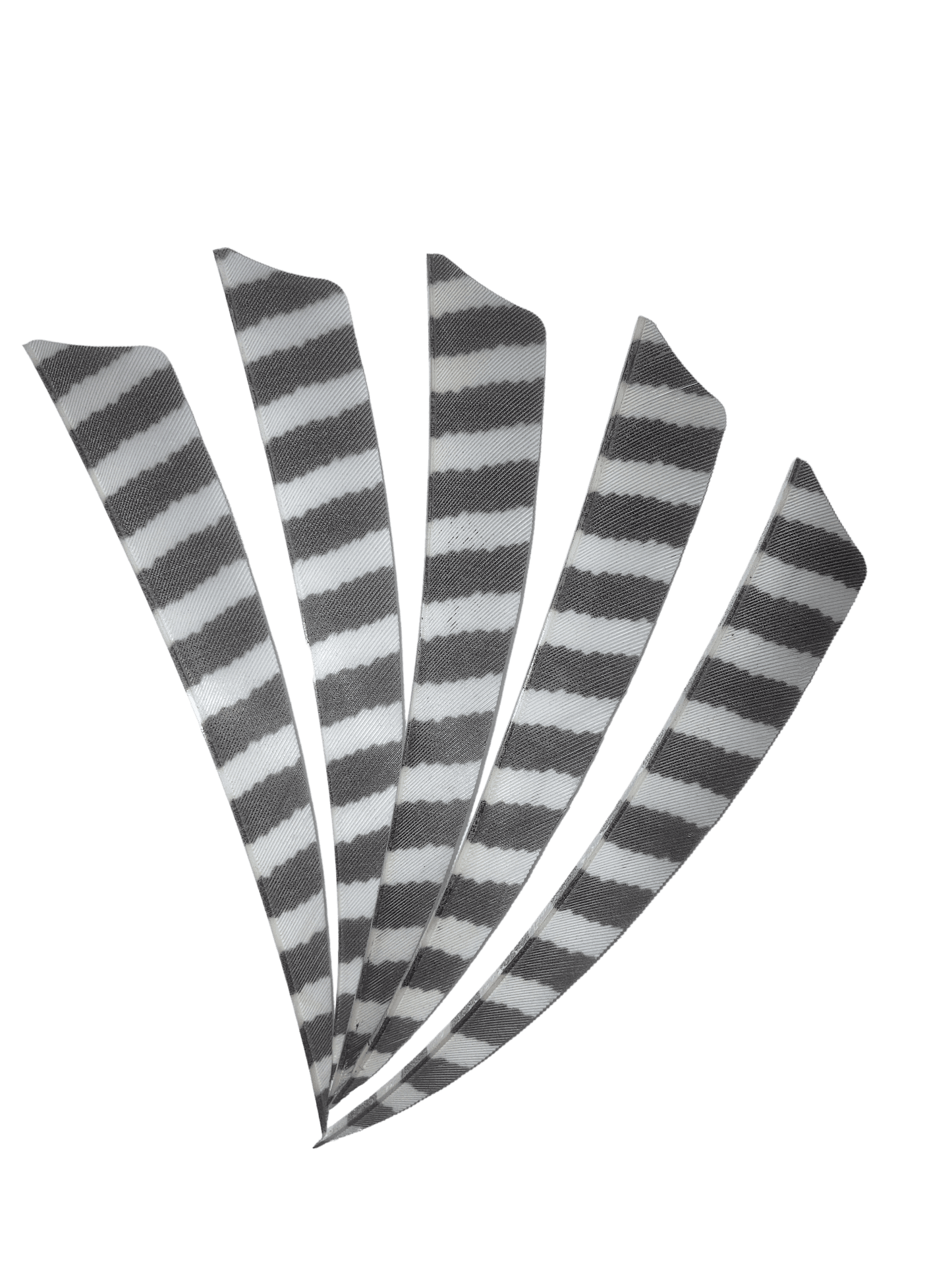 Badass Archery Barred Right Wing Feathers - 36 Pack