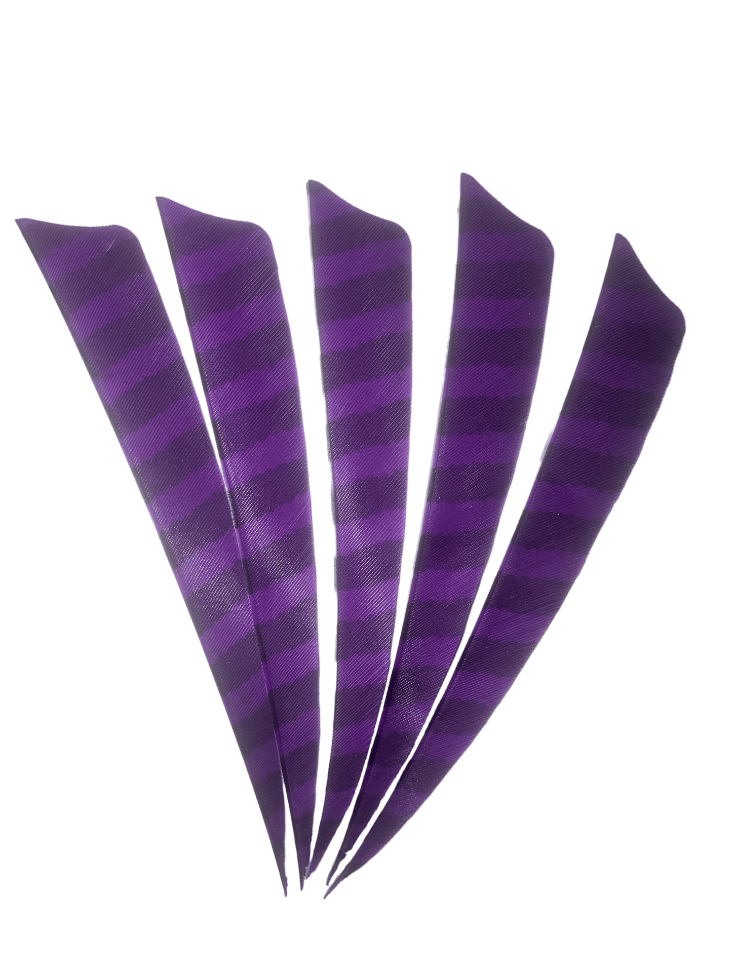Badass Archery Barred Right Wing Feathers - 36 Pack