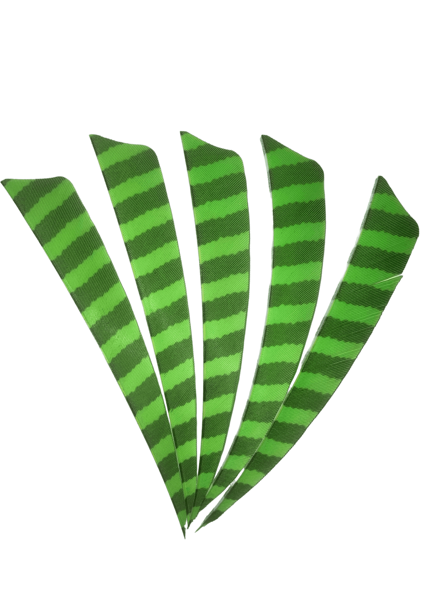 Badass Archery Barred Right Wing Feathers - 36 Pack