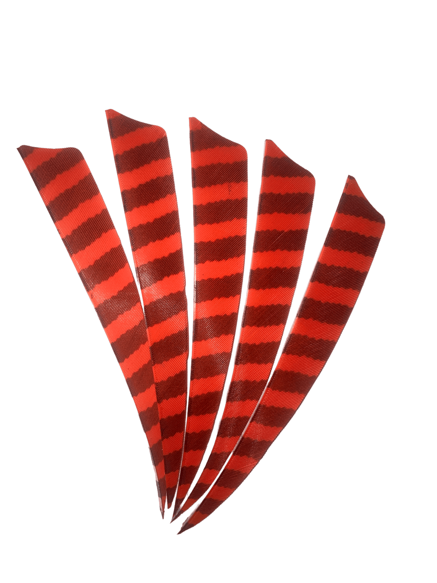 Badass Archery Barred Right Wing Feathers - 36 Pack